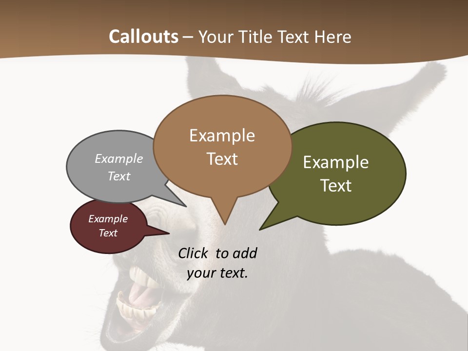 Donkey (4 Years) In Front Of A White Background PowerPoint Template