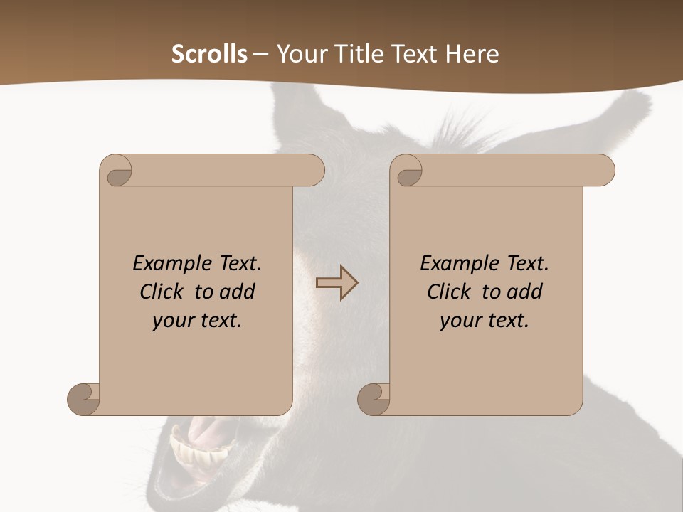 Donkey (4 Years) In Front Of A White Background PowerPoint Template