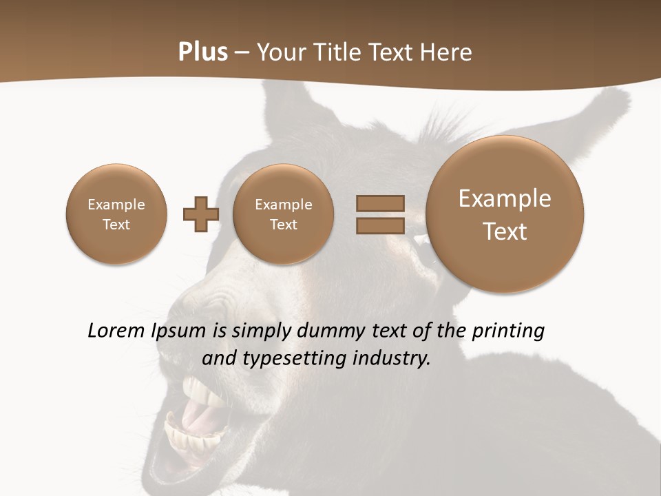 Donkey (4 Years) In Front Of A White Background PowerPoint Template