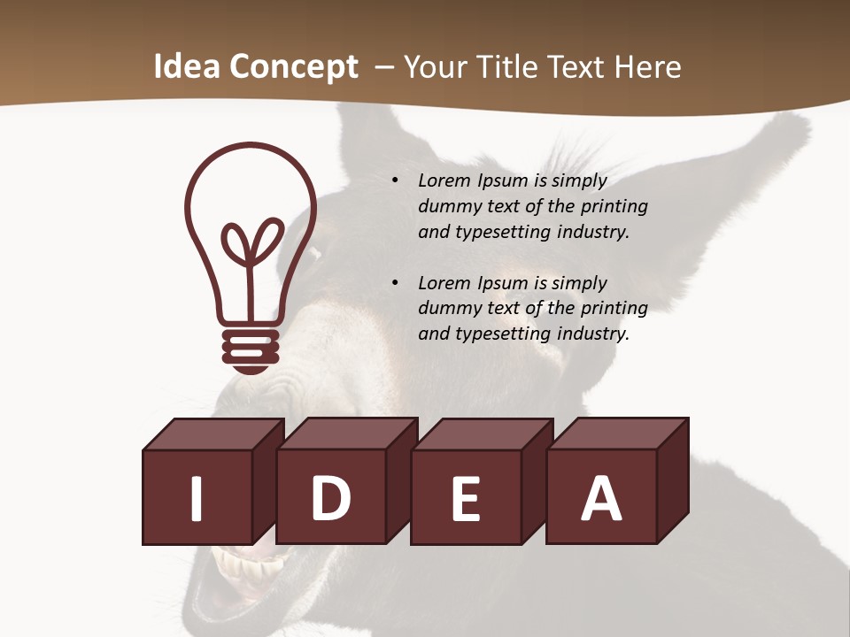 Donkey (4 Years) In Front Of A White Background PowerPoint Template