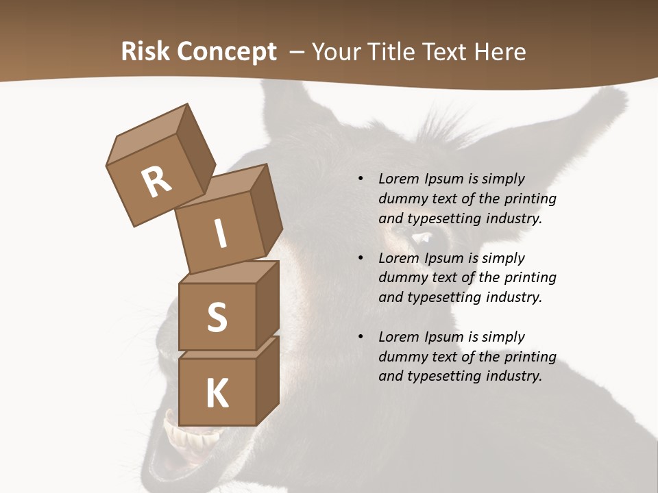 Donkey (4 Years) In Front Of A White Background PowerPoint Template