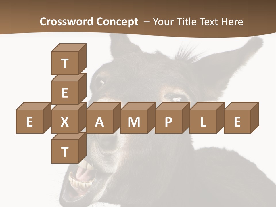 Donkey (4 Years) In Front Of A White Background PowerPoint Template