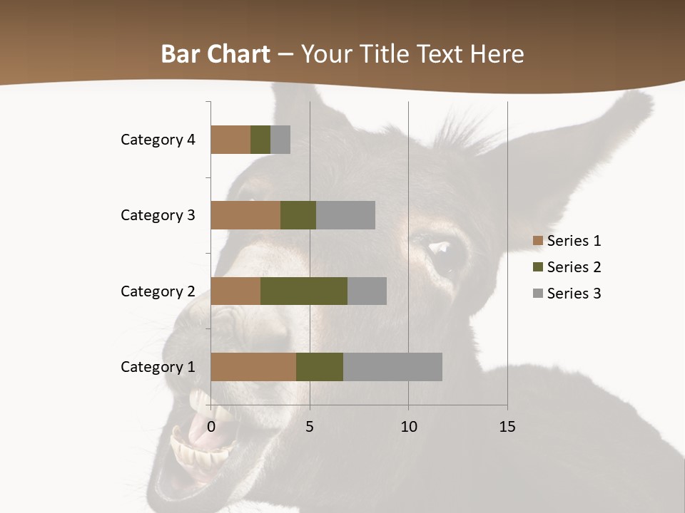 Donkey (4 Years) In Front Of A White Background PowerPoint Template