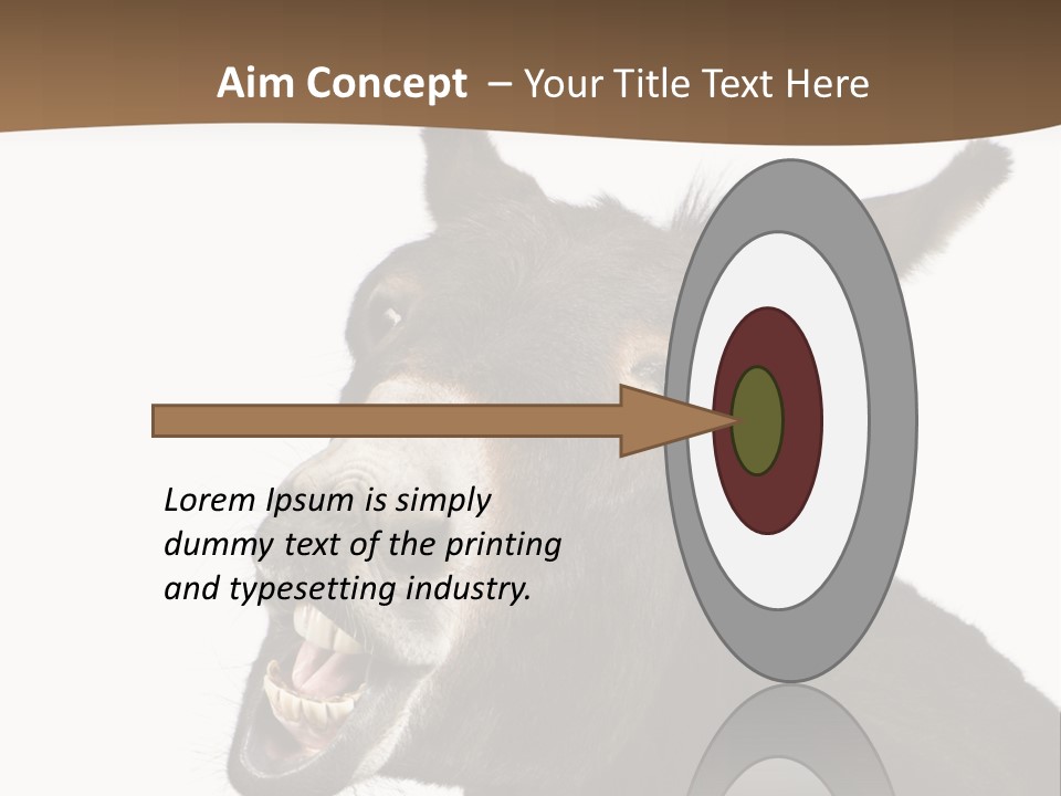 Donkey (4 Years) In Front Of A White Background PowerPoint Template