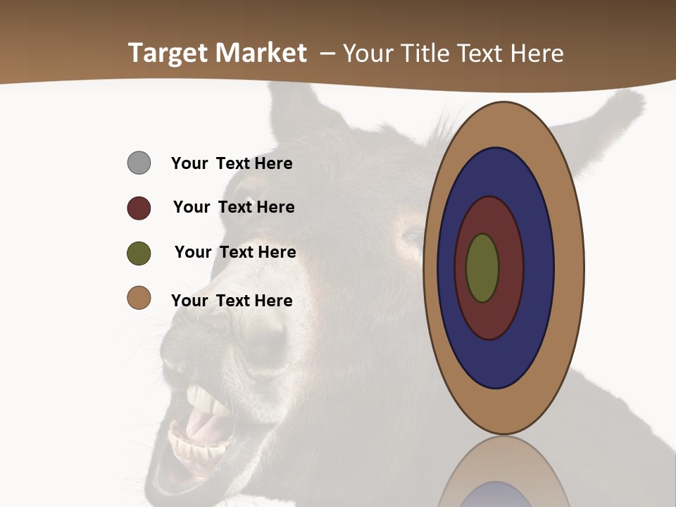 Donkey (4 Years) In Front Of A White Background PowerPoint Template