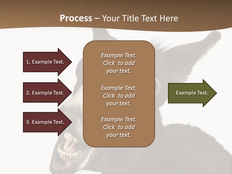Donkey (4 Years) In Front Of A White Background PowerPoint Template