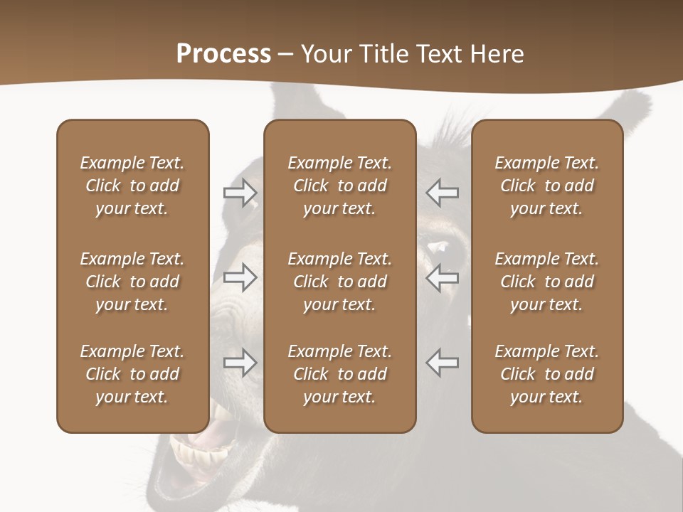 Donkey (4 Years) In Front Of A White Background PowerPoint Template