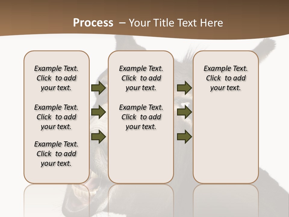 Donkey (4 Years) In Front Of A White Background PowerPoint Template