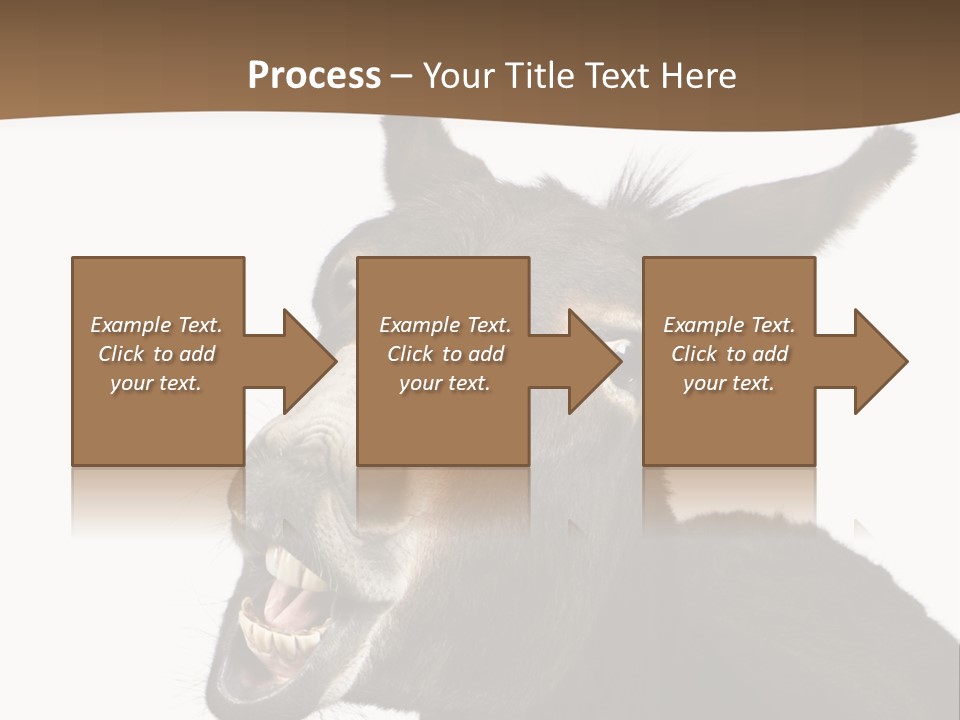 Donkey (4 Years) In Front Of A White Background PowerPoint Template