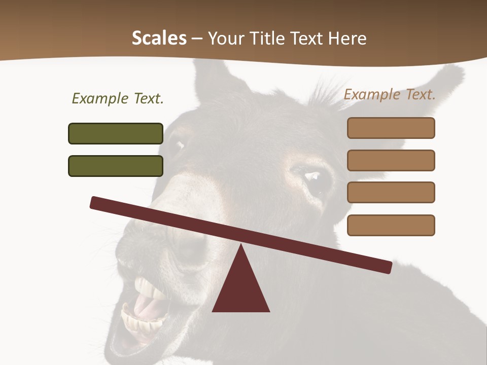 Donkey (4 Years) In Front Of A White Background PowerPoint Template