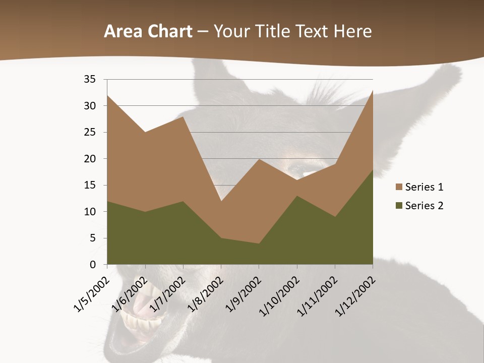 Donkey (4 Years) In Front Of A White Background PowerPoint Template