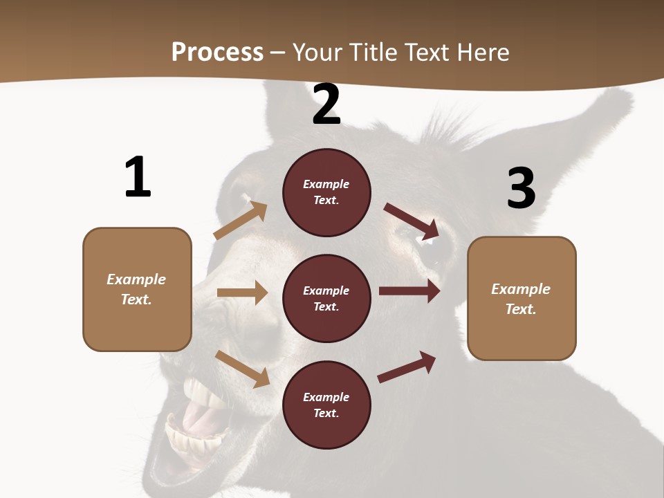 Donkey (4 Years) In Front Of A White Background PowerPoint Template