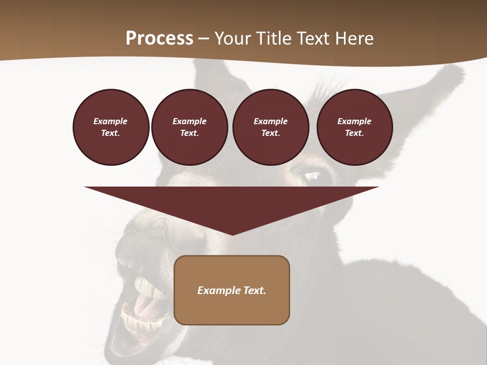 Donkey (4 Years) In Front Of A White Background PowerPoint Template