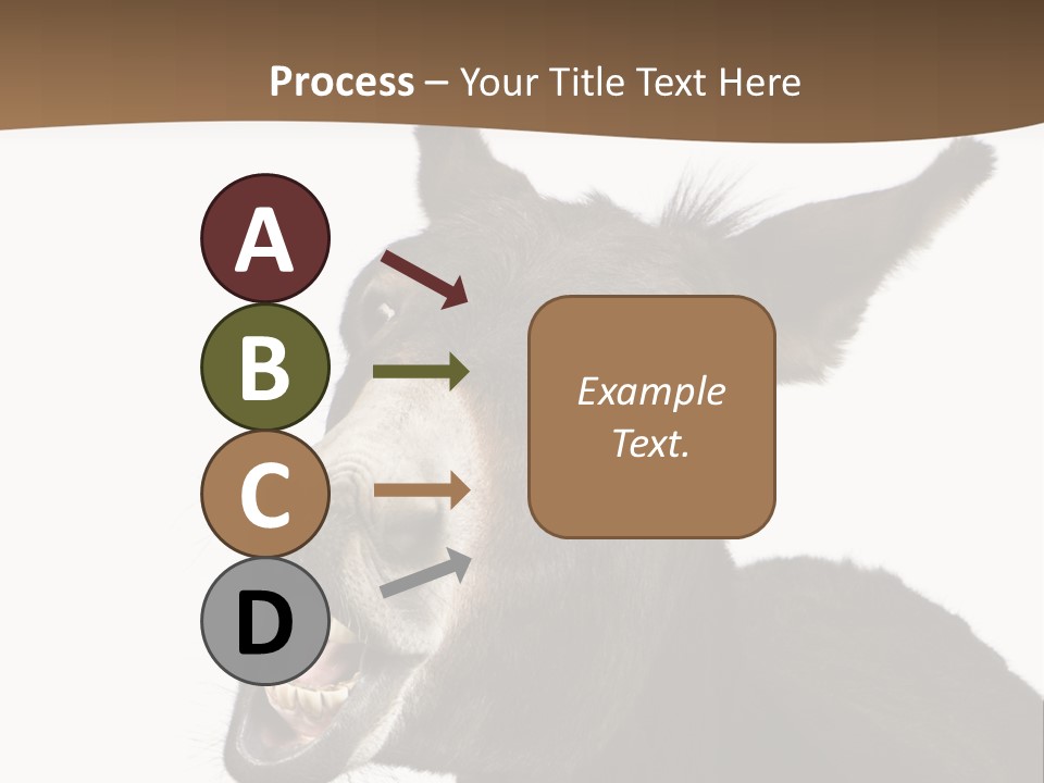 Donkey (4 Years) In Front Of A White Background PowerPoint Template