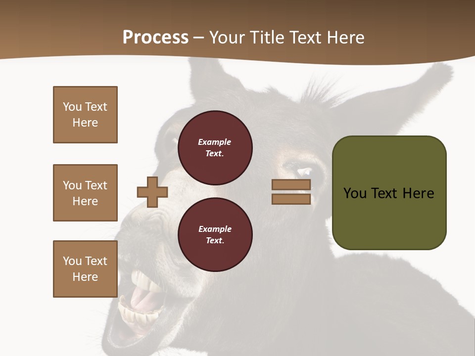 Donkey (4 Years) In Front Of A White Background PowerPoint Template