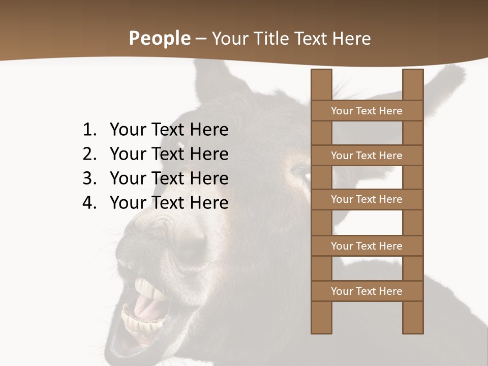 Donkey (4 Years) In Front Of A White Background PowerPoint Template