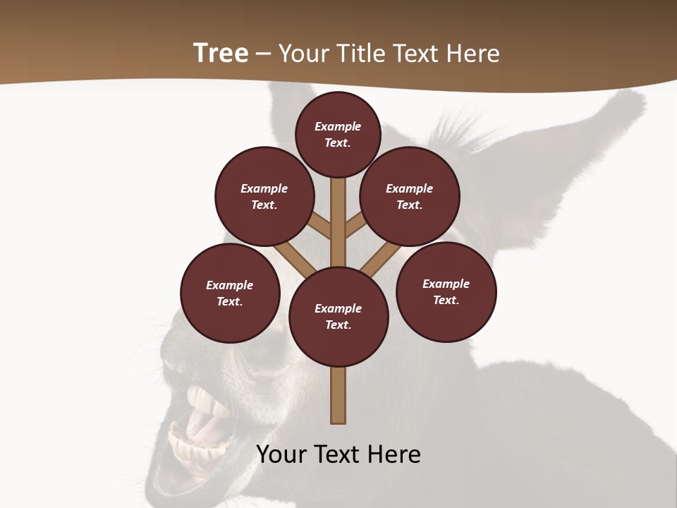 Donkey (4 Years) In Front Of A White Background PowerPoint Template