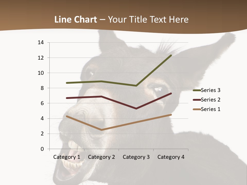 Donkey (4 Years) In Front Of A White Background PowerPoint Template