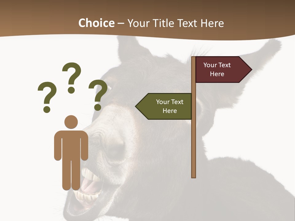 Donkey (4 Years) In Front Of A White Background PowerPoint Template