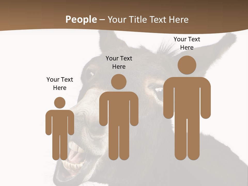 Donkey (4 Years) In Front Of A White Background PowerPoint Template