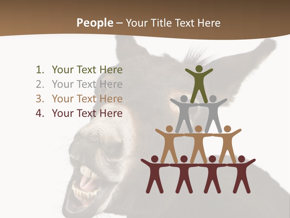 Donkey (4 Years) In Front Of A White Background PowerPoint Template