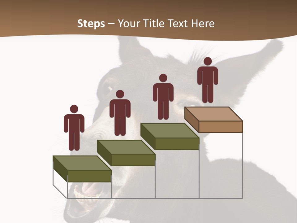 Donkey (4 Years) In Front Of A White Background PowerPoint Template
