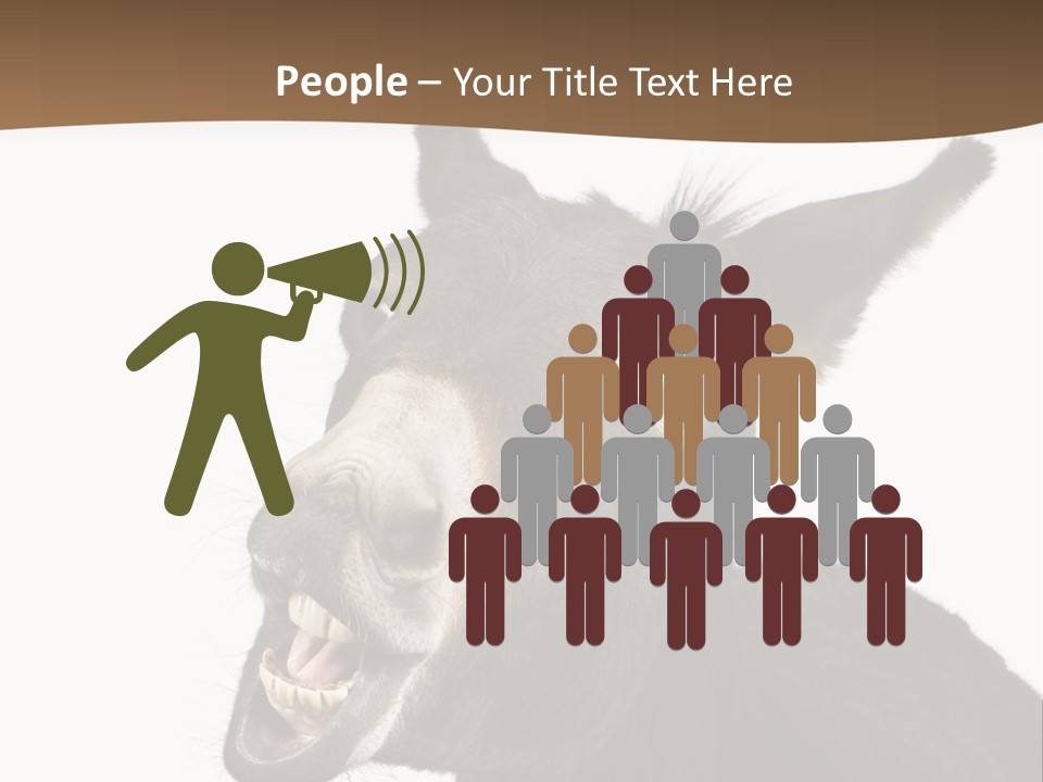 Donkey (4 Years) In Front Of A White Background PowerPoint Template