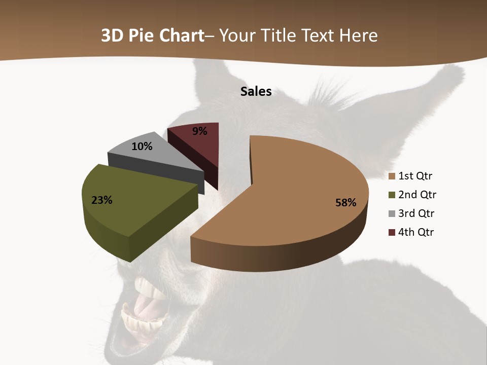 Donkey (4 Years) In Front Of A White Background PowerPoint Template