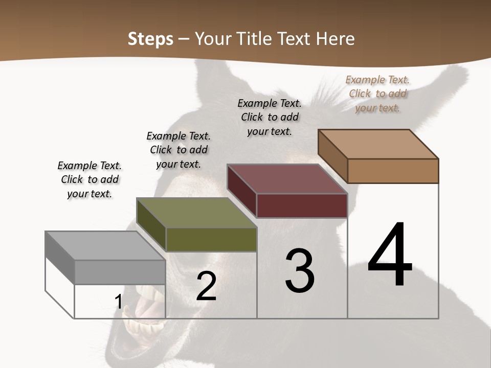 Donkey (4 Years) In Front Of A White Background PowerPoint Template