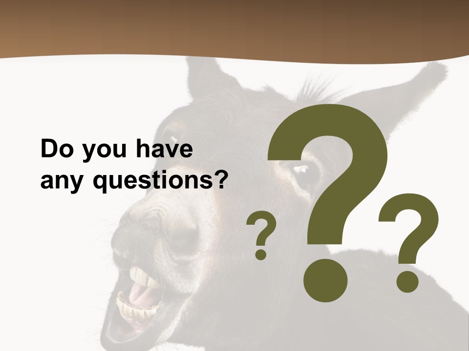 Donkey (4 Years) In Front Of A White Background PowerPoint Template