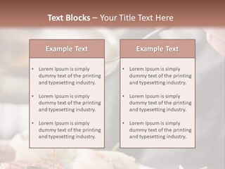 Chef Add Sause To A Beef On Professional Kitchen PowerPoint Template