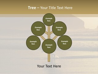 A Surfer Leaves The Surf As The Sun Sets At Polzeath Beach In Cornwall, Uk. PowerPoint Template