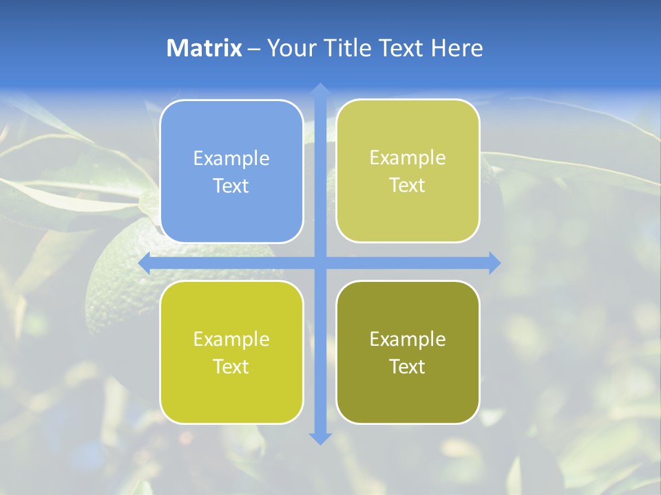 Green Tangerines PowerPoint Template