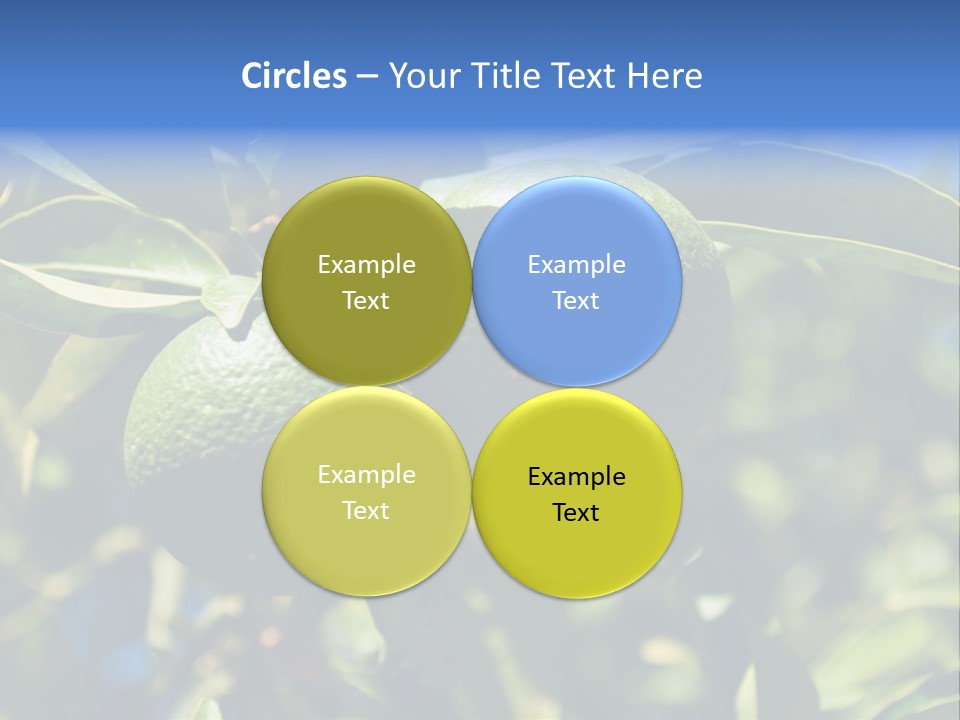 Green Tangerines PowerPoint Template