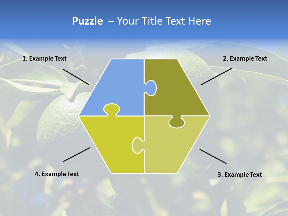 Green Tangerines PowerPoint Template