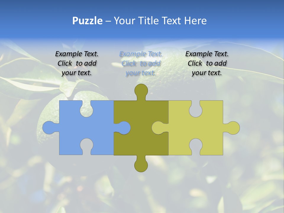 Green Tangerines PowerPoint Template