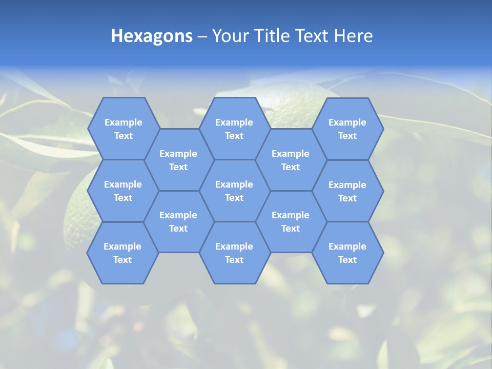 Green Tangerines PowerPoint Template