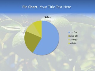 Green Tangerines PowerPoint Template