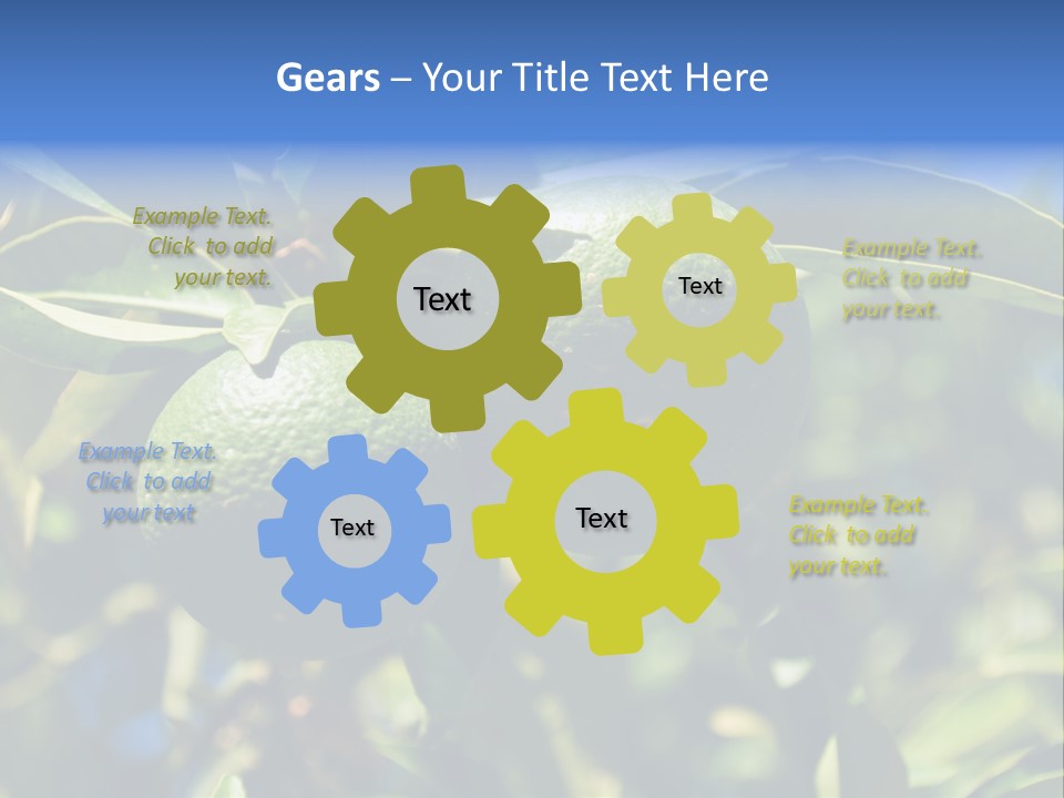 Green Tangerines PowerPoint Template