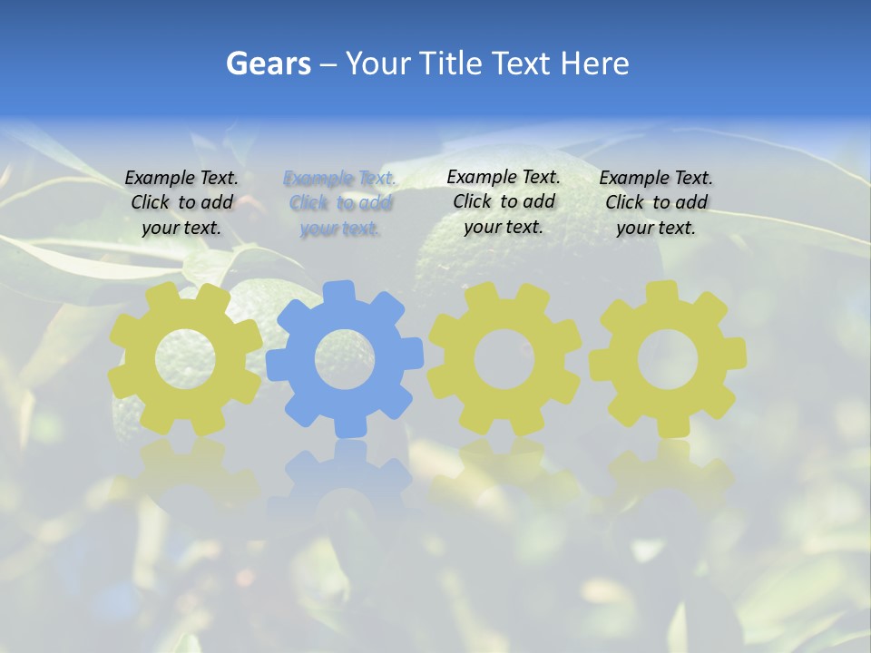 Green Tangerines PowerPoint Template