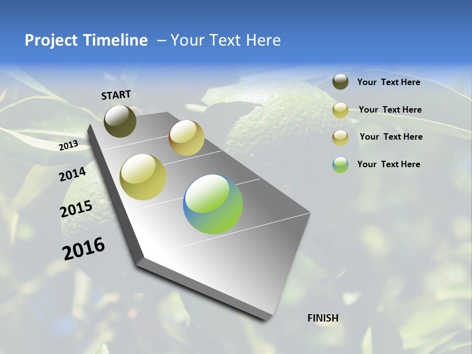 Green Tangerines PowerPoint Template