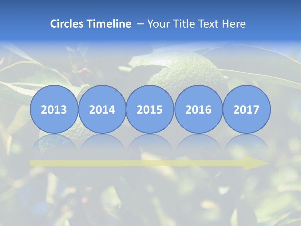 Green Tangerines PowerPoint Template