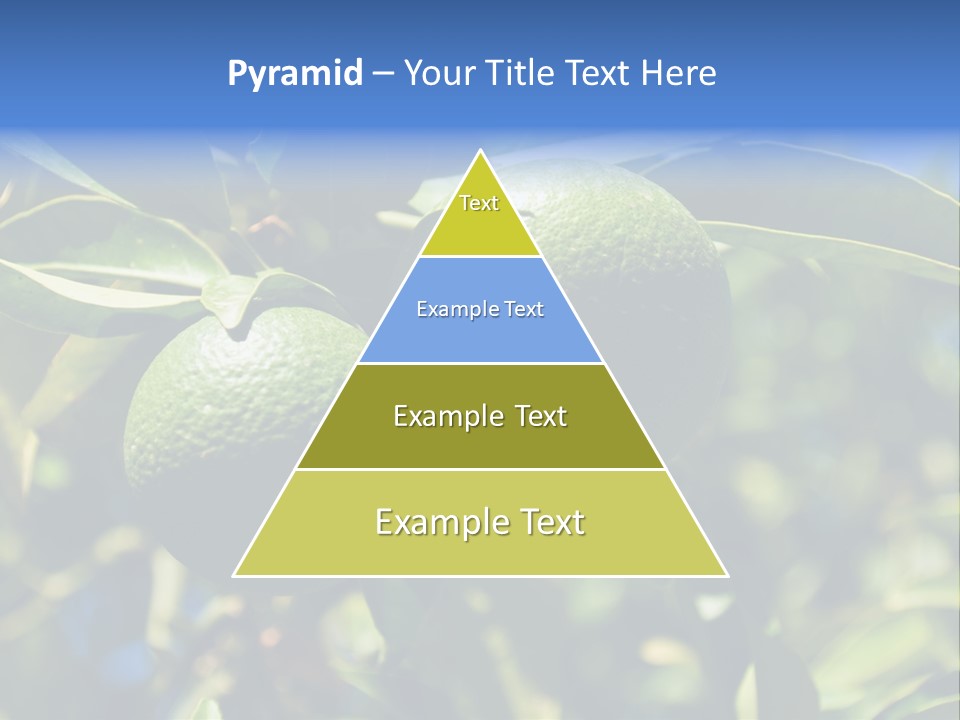 Green Tangerines PowerPoint Template