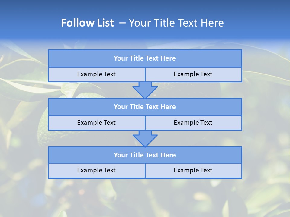 Green Tangerines PowerPoint Template