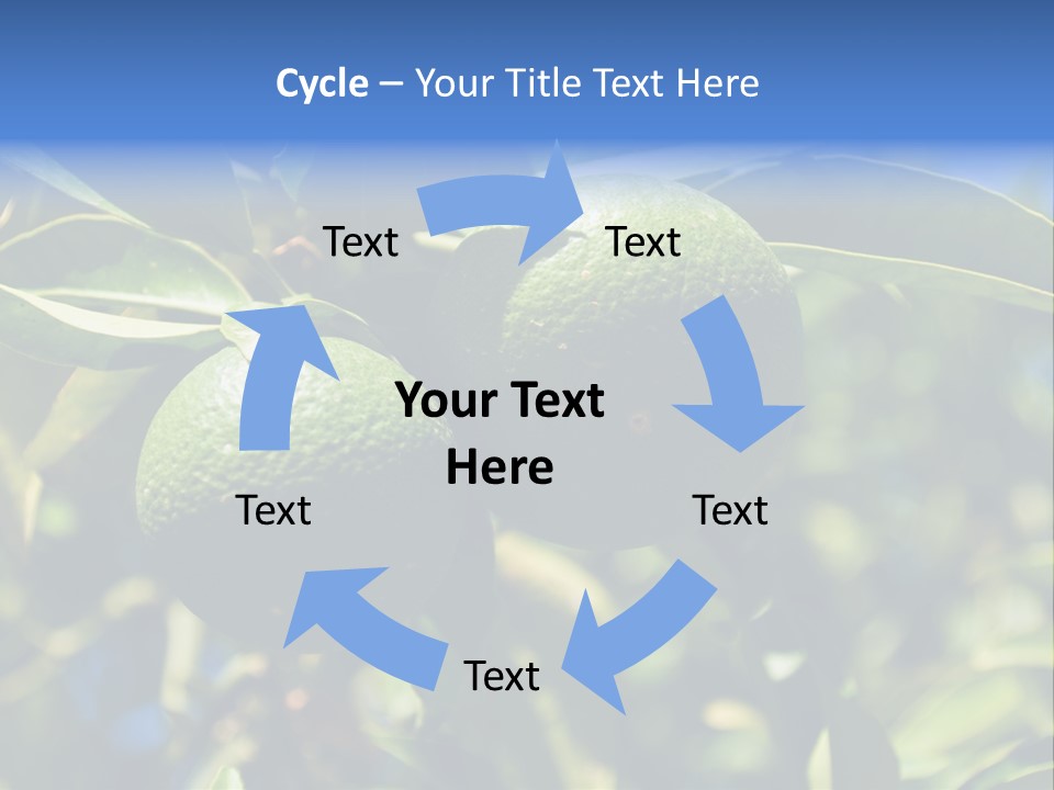 Green Tangerines PowerPoint Template
