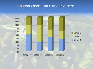 Green Tangerines PowerPoint Template