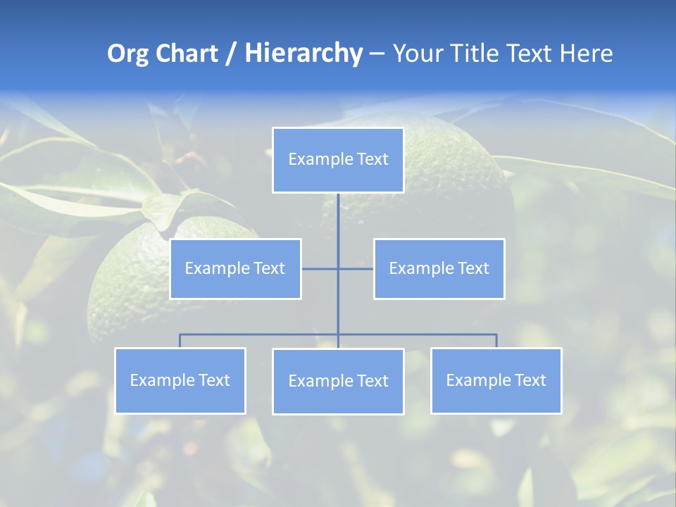 Green Tangerines PowerPoint Template