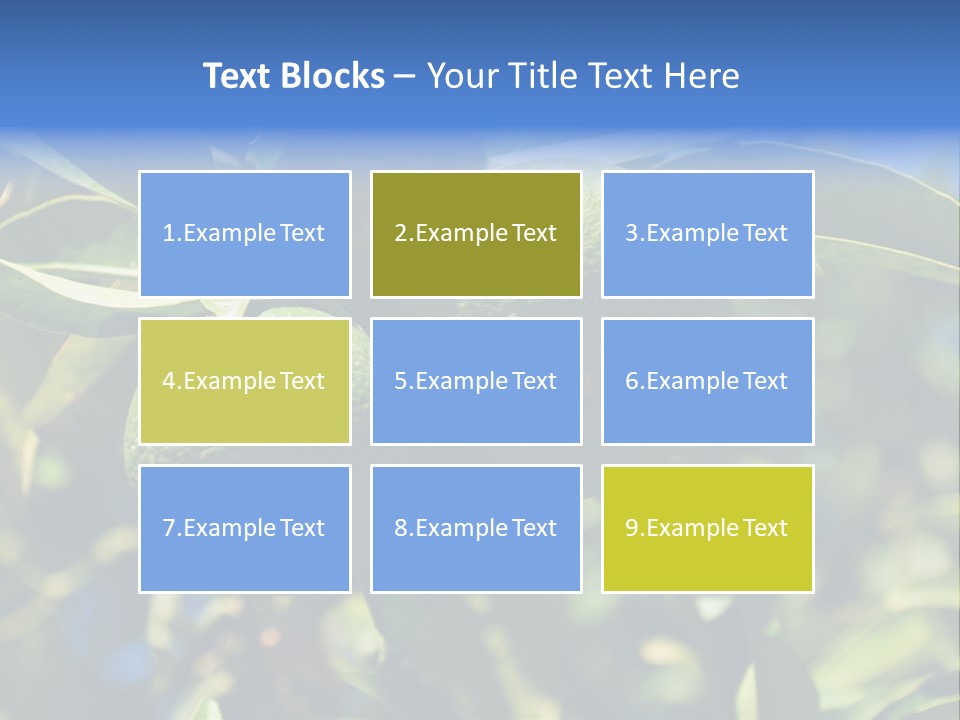 Green Tangerines PowerPoint Template