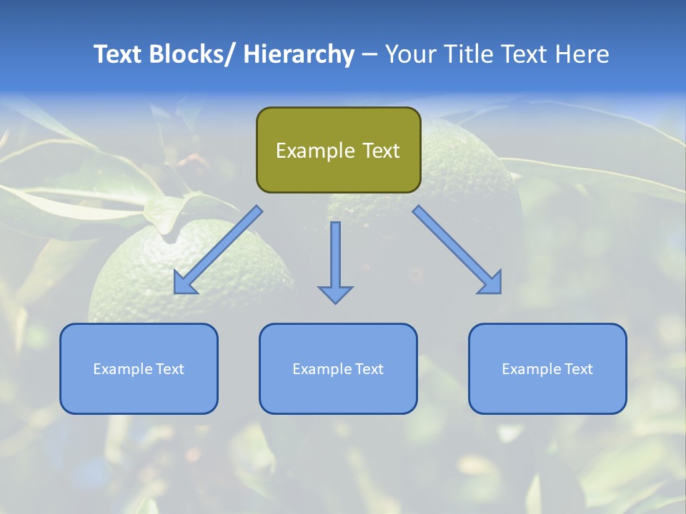 Green Tangerines PowerPoint Template