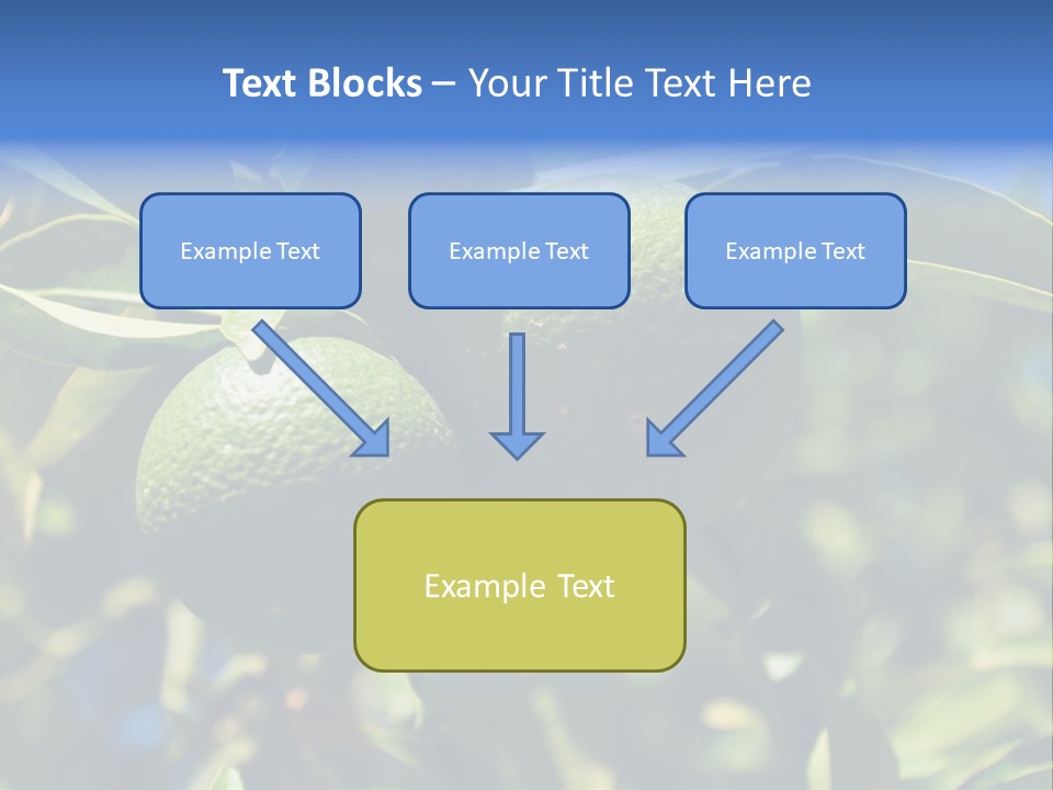 Green Tangerines PowerPoint Template